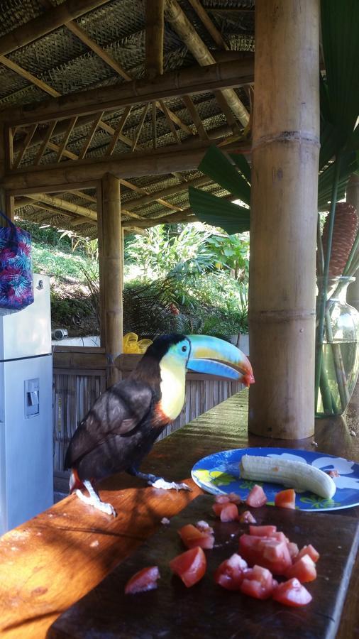 Willa Minca Glamping Zewnętrze zdjęcie