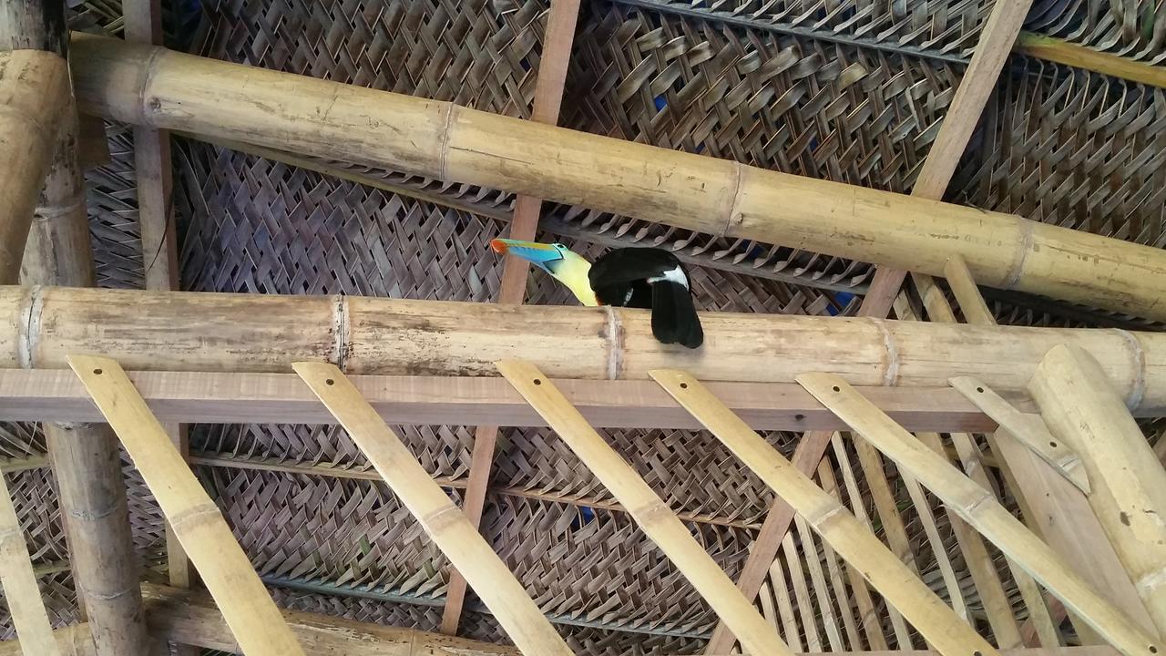 Willa Minca Glamping Zewnętrze zdjęcie